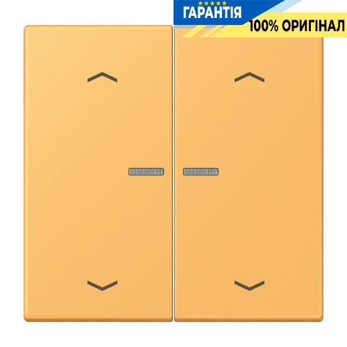 Клавіша з символом «стрілки» JUNG HOME, 2 групи, BTLC17102P254