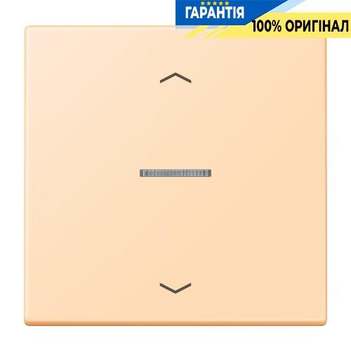 Клавіша з символом «стрілки» JUNG HOME, 1 група, BTLC17101P223, колір ocre