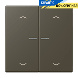 Клавіша з символом «стрілки» JUNG HOME, 2 групи, модель BTLC17102P241