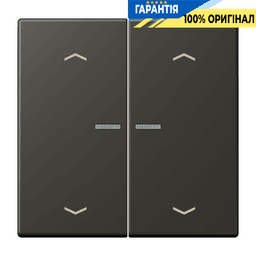 Клавіша з символом «стрілки» JUNG HOME, 2 групи, модель BTLC17102P259