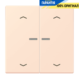 Клавіша з символом «стрілки» JUNG HOME, 2 групи, BTLC17102P226