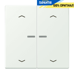 Клавіша з символом «стрілки» JUNG HOME, 2 групи, BTLC17102P210