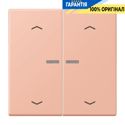 Клавіша з символом «стрілки» JUNG HOME, 2 групи, BTLC17102P231