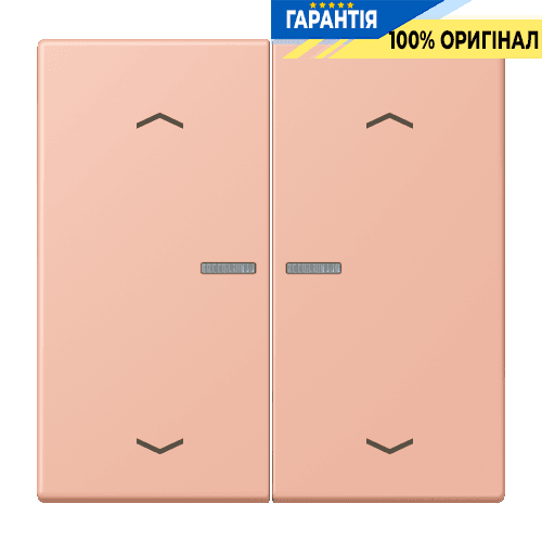 Клавіша з символом «стрілки» JUNG HOME, 2 групи, BTLC17102P231