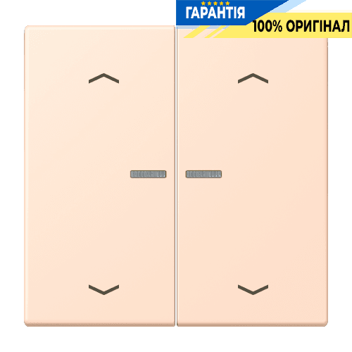 Клавіша з символом «стрілки» JUNG HOME, 2 групи, BTLC17102P228