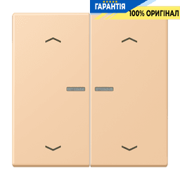 Клавіша з символом «стрілки» JUNG HOME, 2 групи, BTLC17102P237