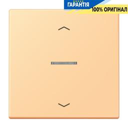 Клавіша з символом «стрілки» JUNG HOME, 1 група, BTLC17101P258, колір terre sienne claire 59 (4320P)