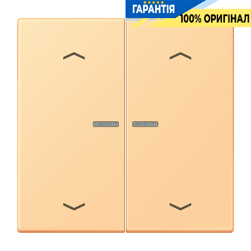 Клавіша з символом «стрілки» JUNG HOME, 2 групи, BTLC17102P258