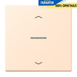 Клавіша з символом «стрілки» JUNG HOME, 1 група, BTLC17101P238, колір terre sienne pâle