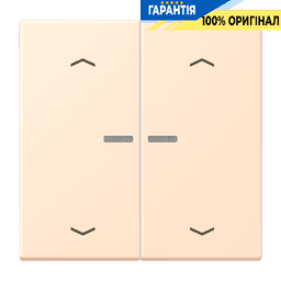 Клавіша з символом «стрілки» JUNG HOME, 2 групи, BTLC17102P238