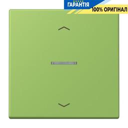 Клавіша з символом «стрілки» JUNG HOME, 1 група, BTLC17101P220 vert 31 (32051)