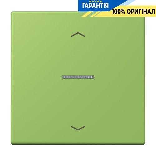 Клавіша з символом «стрілки» JUNG HOME, 1 група, BTLC17101P220 vert 31 (32051)
