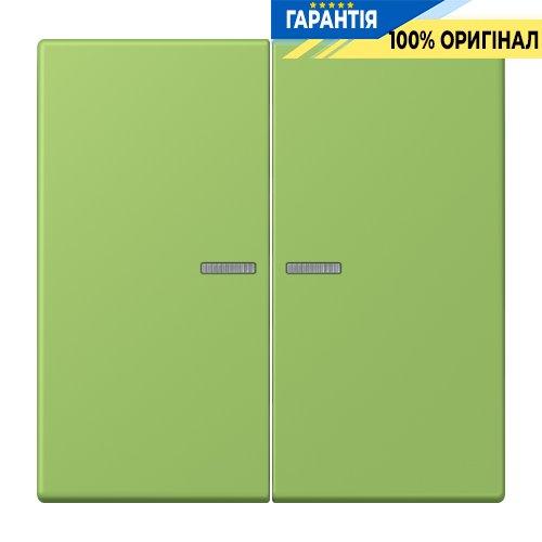 Клавіша JUNG HOME 2 групи BTLC17102220 vert 31 (32051)