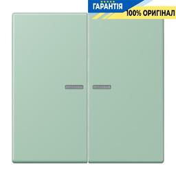 Клавіша JUNG HOME, 2 групи, BTLC17102217, vert anglais clair (32041)