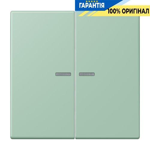 Клавіша JUNG HOME, 2 групи, BTLC17102217, vert anglais clair (32041)