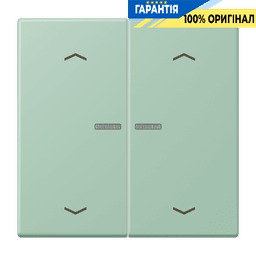 Клавіша з символом «стрілки» JUNG HOME, 2 групи, BTLC17102P217