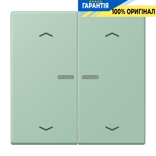 Клавіша з символом «стрілки» JUNG HOME, 2 групи, BTLC17102P217