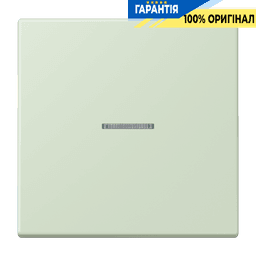 Клавіша JUNG HOME 1 група BTLC17101218 vert anglais pâle (32042)