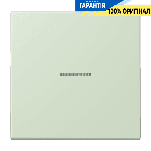 Клавіша JUNG HOME 1 група BTLC17101218 vert anglais pâle (32042)