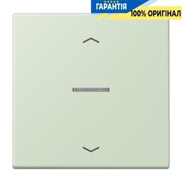 Клавіша з символом «стрілки» JUNG HOME, 1 група, BTLC17101P218, vert anglais pâle (32042)