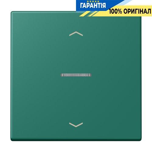 Клавіша з символом «стрілки» JUNG HOME, 1 група, BTLC17101P216 vert anglais