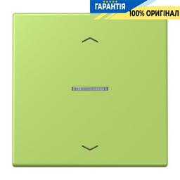 Клавіша з символом «стрілки» JUNG HOME, 1 група, BTLC17101P221 vert clair (32052)