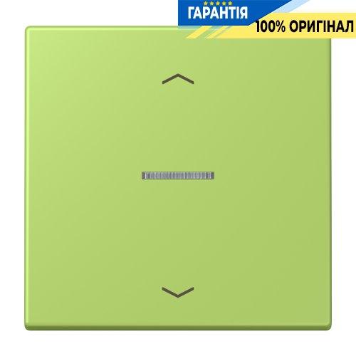 Клавіша з символом «стрілки» JUNG HOME, 1 група, BTLC17101P221 vert clair (32052)