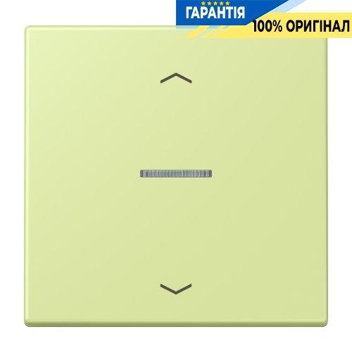 Клавіша зі символом «стрілки» JUNG HOME, 1 група, BTLC17101P222, колір vert jaune clair