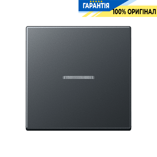 Клавіша JUNG HOME 1 група BTA17101BFANM антрацит матовий