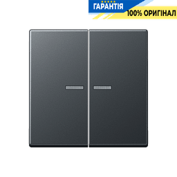 Клавіша JUNG HOME BTA17102BFANM, 2 групи, антрацит матовий