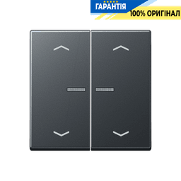 Клавіша з символом «стрілки» JUNG HOME, 2 групи, BTA17102BFPANM, антрацит матовий
