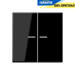 Клавіша JUNG HOME 2 групи BTA17102BFSW чорний