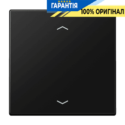 Центральна плата (клавіша) JUNG LS1700PSWM чорний графіт матовий
