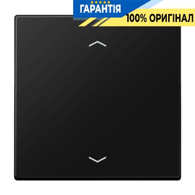 Центральна плата (клавіша) JUNG LS1700PSWM чорний графіт матовий