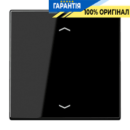 Центральна плата (клавіша) JUNG LS1700PSW чорного кольору