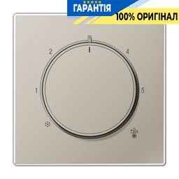 Центральна плата (клавіша) для термостату JUNG ES1749 з нержавіючої сталі Edelstahl
