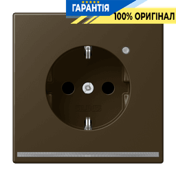 Розетка з заземленням, захисними шторками та підсвіткою JUNG ME1520-OATLNW латунь Antik
