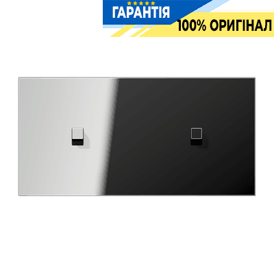 Центральна плата з двома одиночними тумблерами горизонтальна «куб» LS1912 JUNG GCR12-200E22 хром