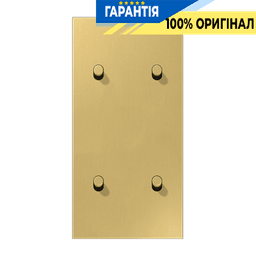 Центральна плата з двома подвійними тумблерами циліндр вертикальний LS1912 JUNG ME12-25CR25 латунь Classic