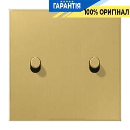 Центральна плата з 2-м тумблером «циліндр» JUNG ME12-5CR25 латунь Classic