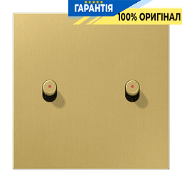 Центральна плата з 2-м тумблером «циліндр» з віконцем LS1912 JUNG ME12-5KOCR25 латунь Classic