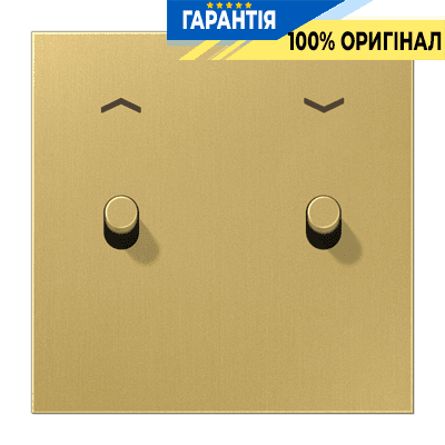 Центральна плата з тумблером «циліндр» та символами «стрілки» LS1912 JUNG ME12-5PCR25 латунь Classic