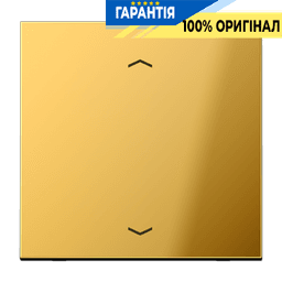 Центральна плата (клавіша) JUNG GO1700P імітація золота