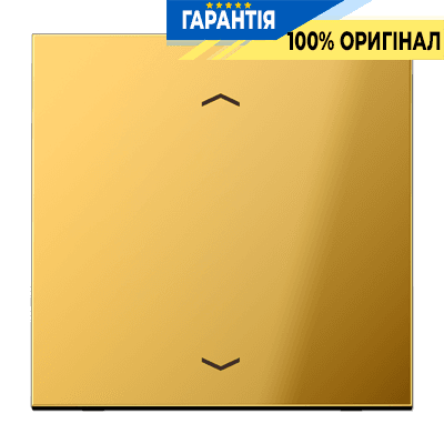 Центральна плата (клавіша) JUNG GO1700P імітація золота