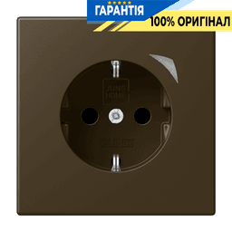 Розумна розетка із заземленням та захистом JUNG HOME BTME1521SAT-L латунь Antik