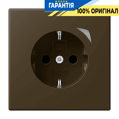 Розумна розетка із заземленням та захистом JUNG HOME BTME1521SAT-L латунь Antik
