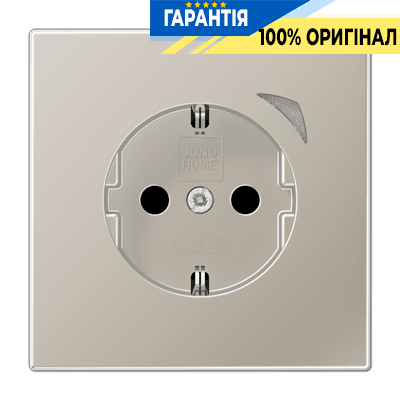 Розумна розетка із заземленням та захистом JUNG HOME BTES1521S-LI Edelstahl
