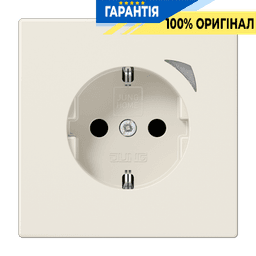 Розумна розетка з заземленням та захистом JUNG HOME BTLS1521S слонова кістка