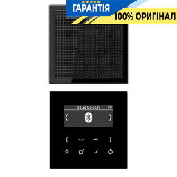 Смарт радіо JUNG DABLS1BTSW з DAB+ та Bluetooth, моно, чорний