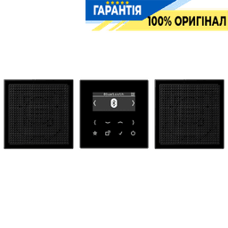 Смарт радіо JUNG DABLS2BTSW з DAB+ та Bluetooth, стерео, чорне
